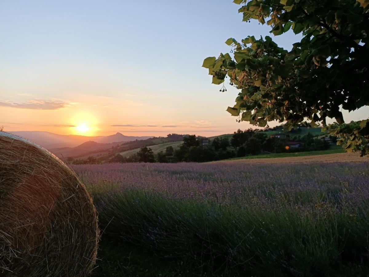 Montese Agriturismo La Casetta - Ospitalita Rurale Familiare מראה חיצוני תמונה