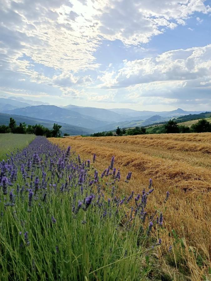 Montese Agriturismo La Casetta - Ospitalita Rurale Familiare מראה חיצוני תמונה