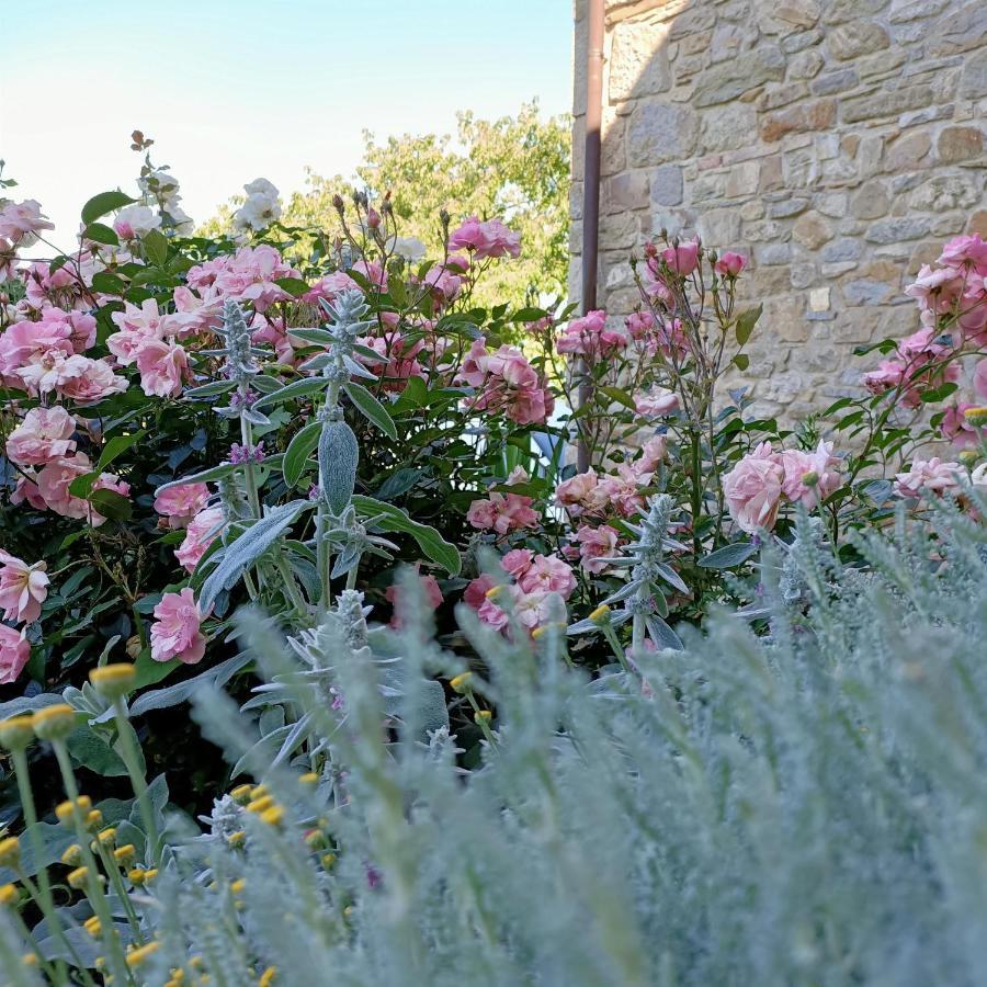 Montese Agriturismo La Casetta - Ospitalita Rurale Familiare מראה חיצוני תמונה